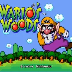 Wario’s Woods