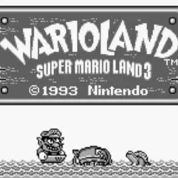 Wario Land